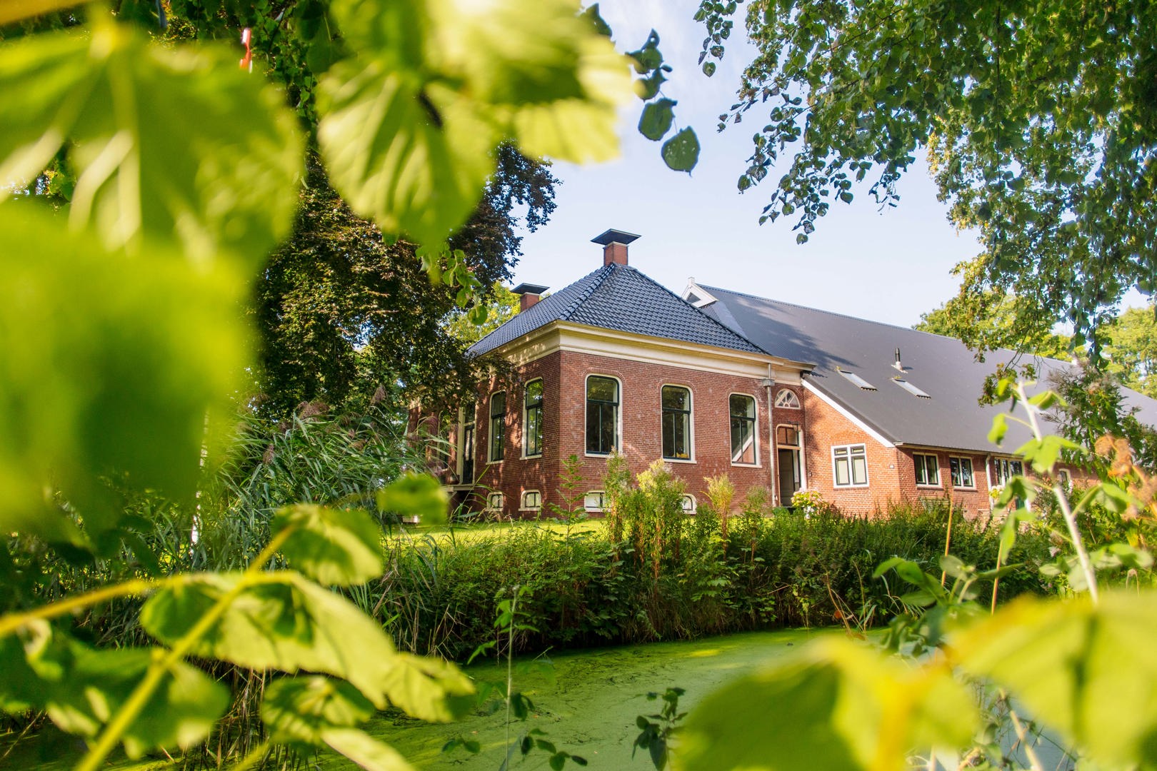 B&B Ellerhoes Boerderij
