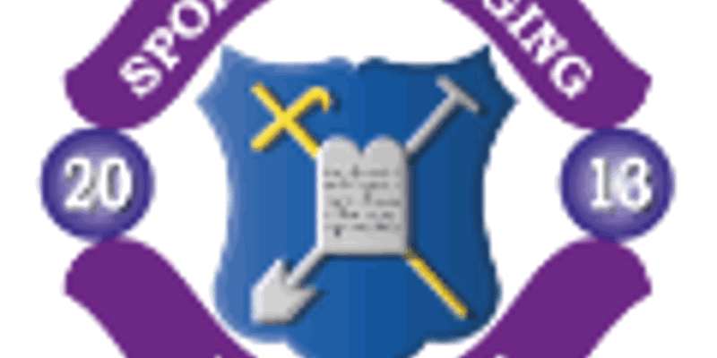 Logo SV Bedum 30X30 Vector Zonder Rand