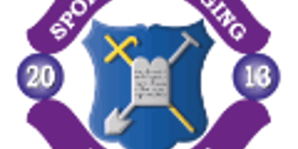 Logo SV Bedum 30X30 Vector Zonder Rand