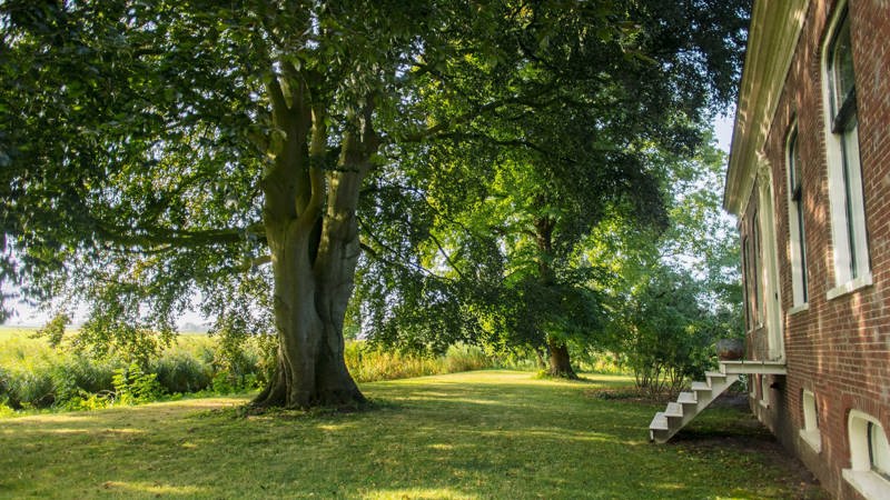 Het Ellerhoes Bedum 2