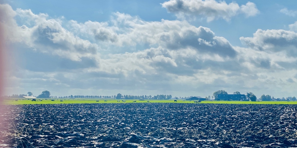 Campina Boederiijdagen