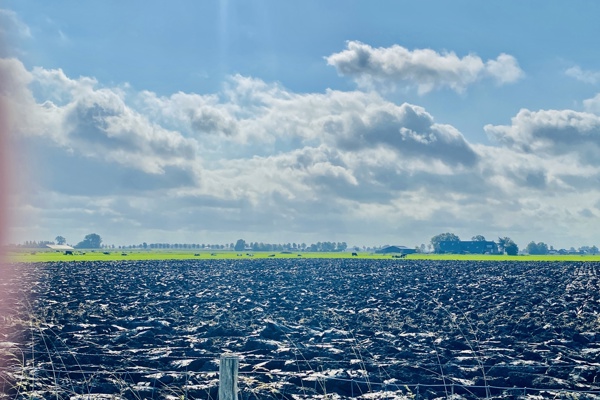 Campina Boederiijdagen