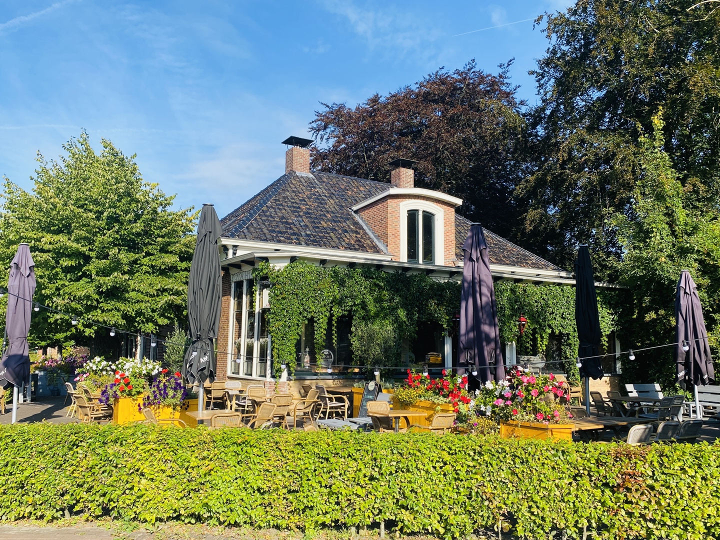 Moeke Vaatstra Zuidwolde