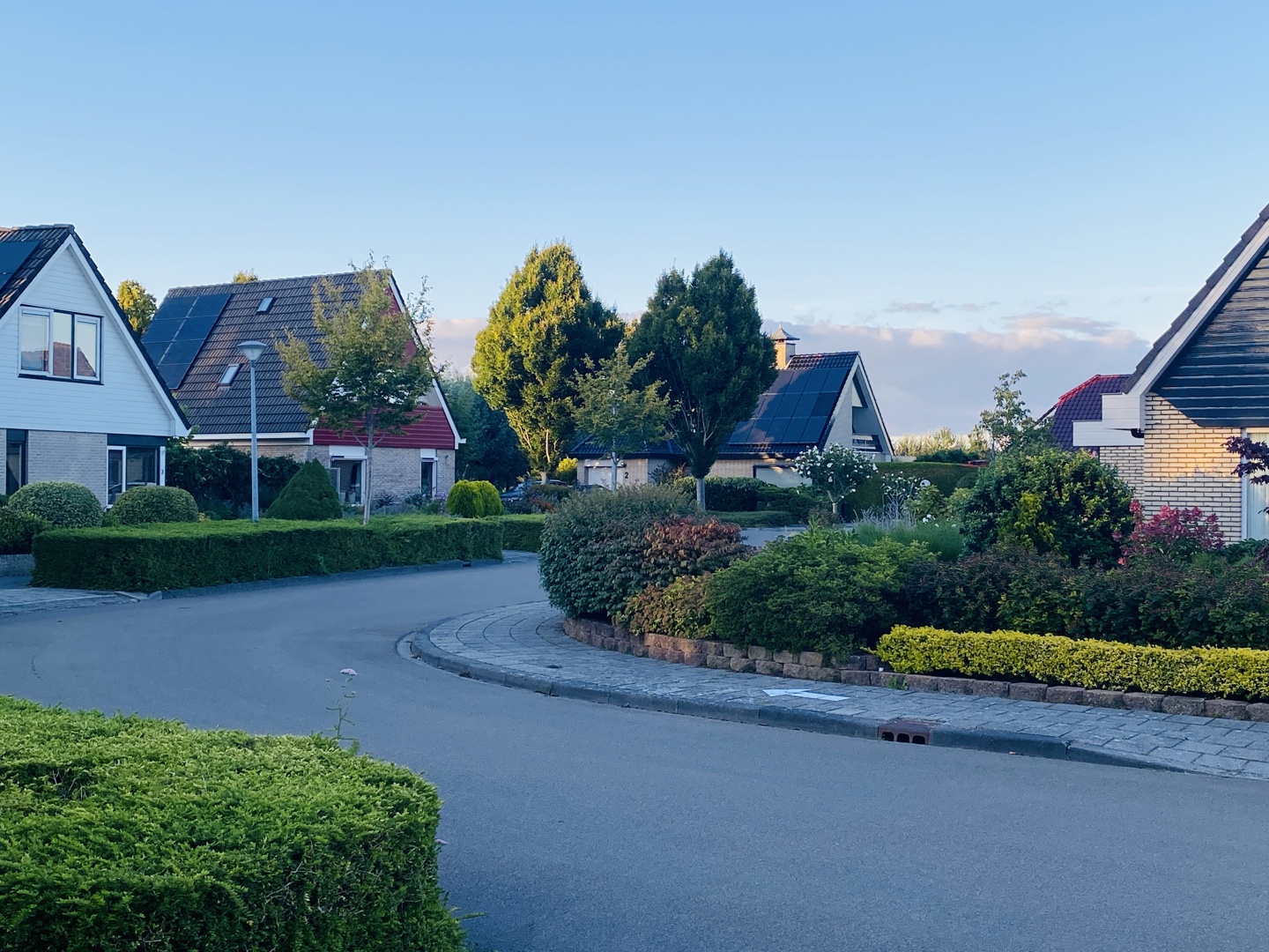 De Speenkruid