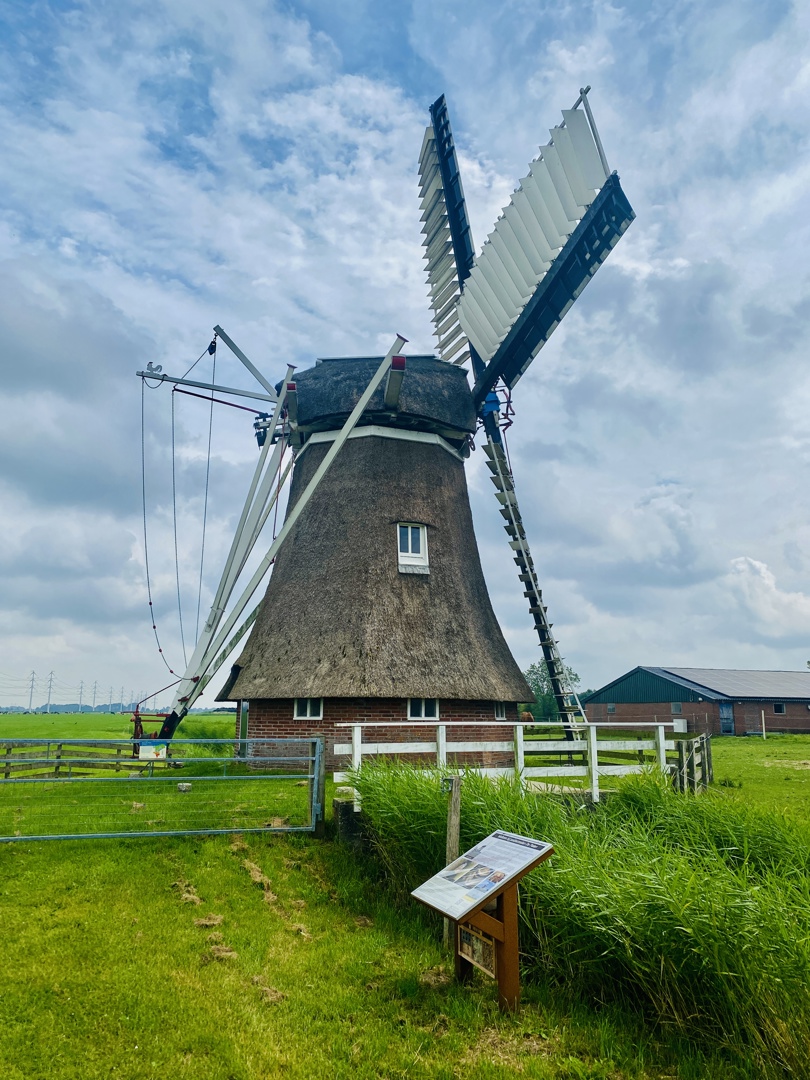 Molen De Palen Westerwijtwerd