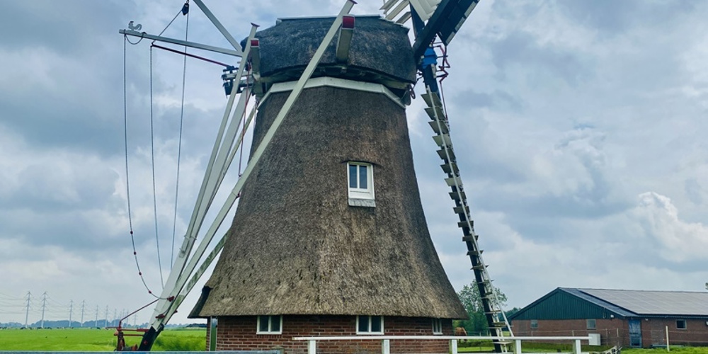 Molen De Palen Westerwijtwerd