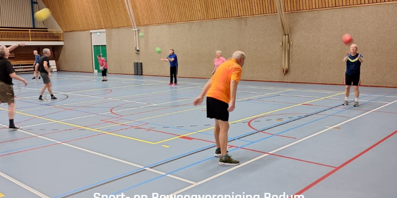 Sportbedum