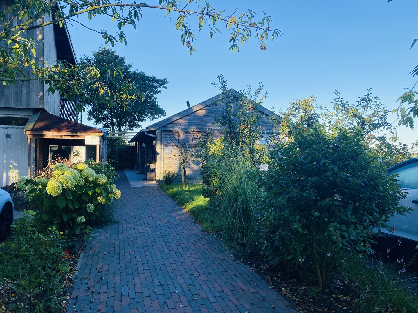 B&B Molenstreek Groningen