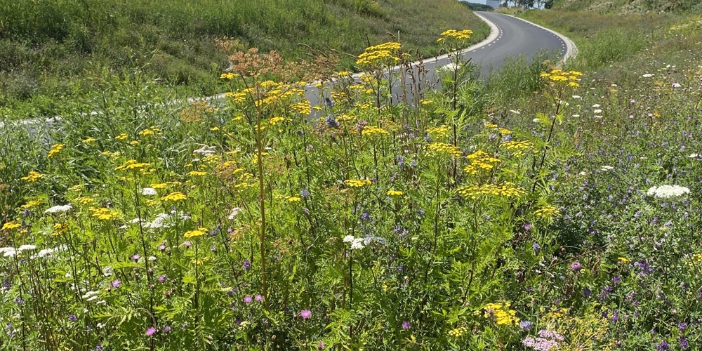 Spoorwegtunnel Melkweg Bedum
