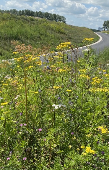 Spoorwegtunnel Melkweg Bedum
