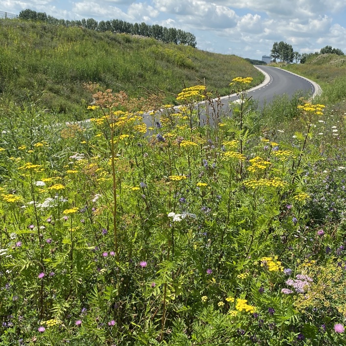 Spoorwegtunnel Melkweg Bedum