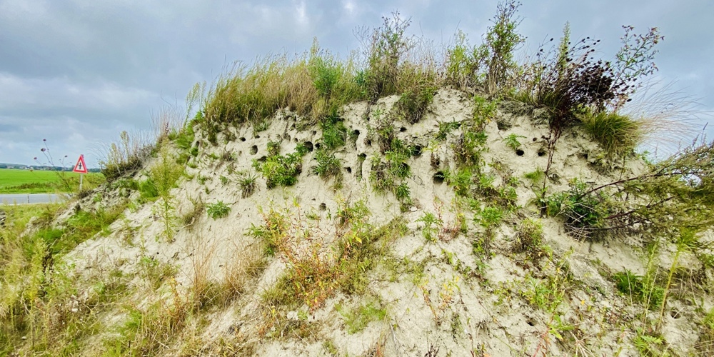 Oeverzwaluwpunt Melkweg