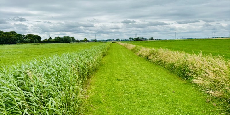 Voetpad Naar Onderwierum