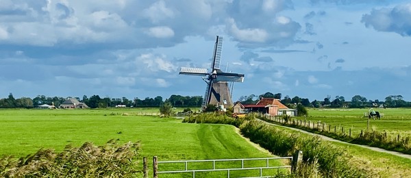 Molen Koningslaagte