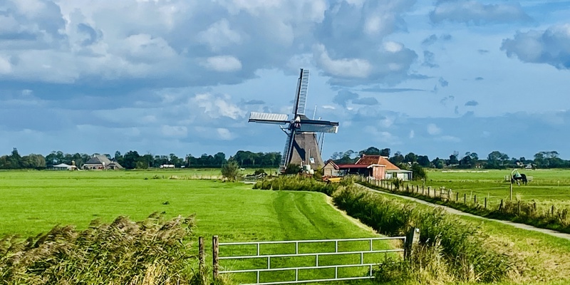Molen Koningslaagte