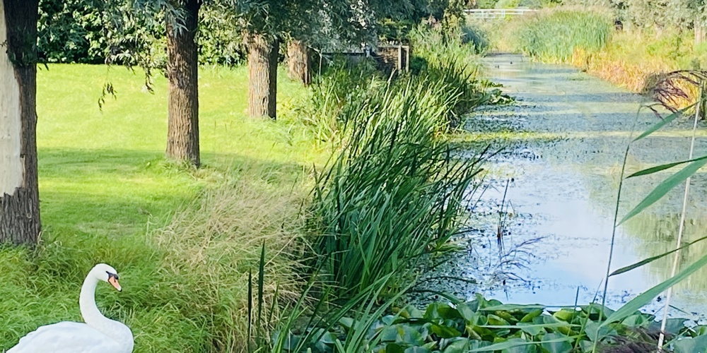 Uitzicht Kieviet Naar Het Oosten