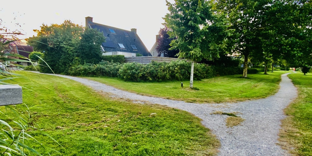 Pad Richting Buizerd