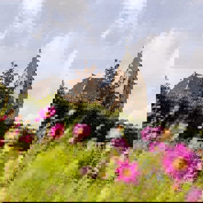 De Scheve Toren Roze Bloem