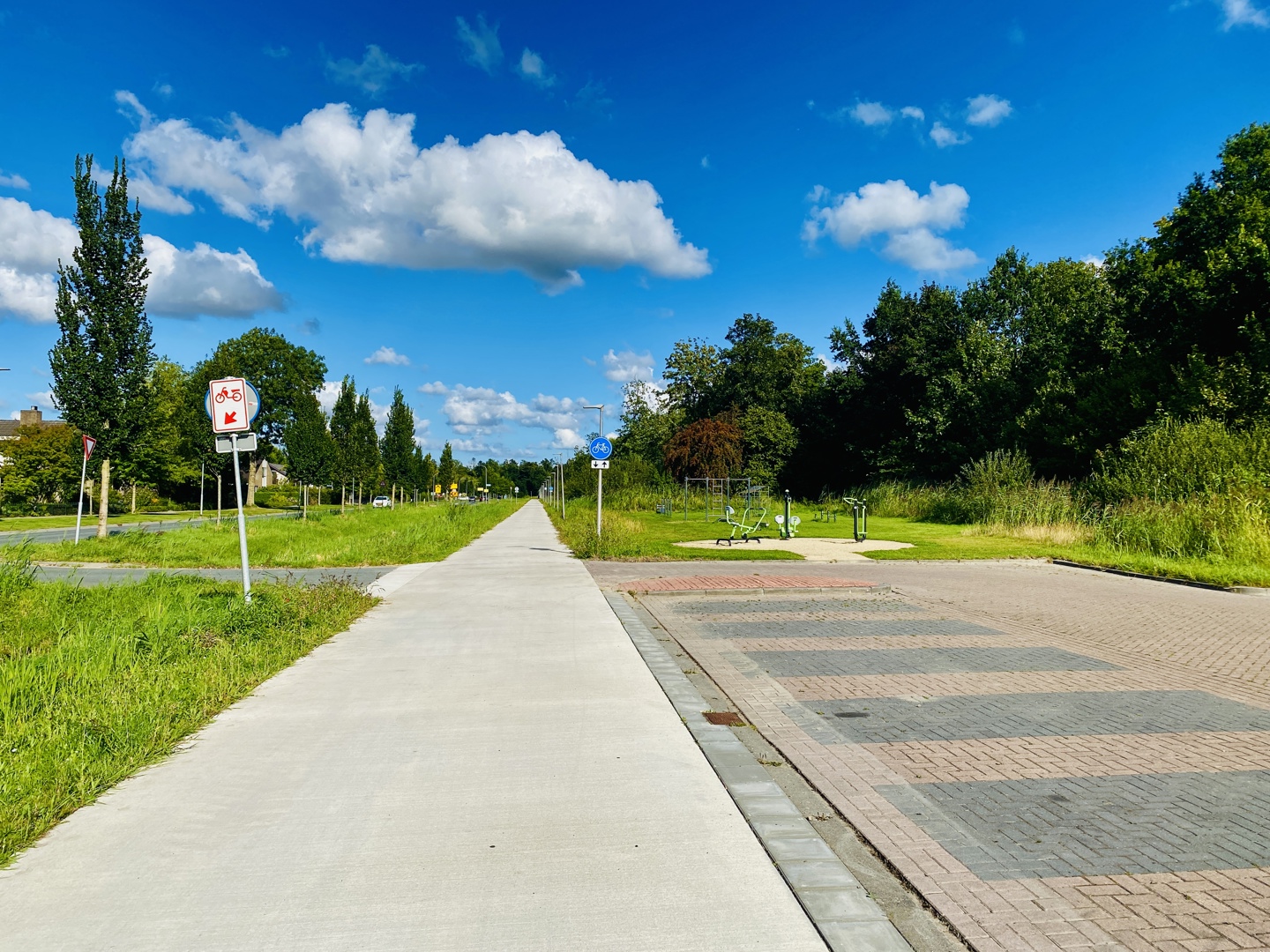 Fietspad Langs Bedumer Bos