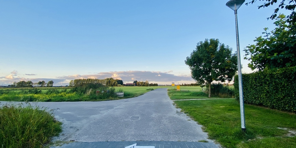 Aalscholver Waterhoen