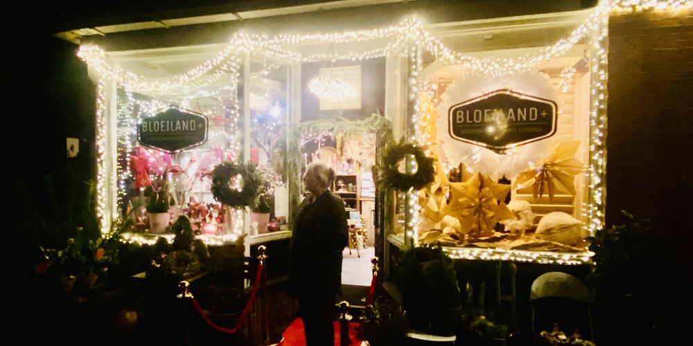 Bloeiland Bedum Bloemen