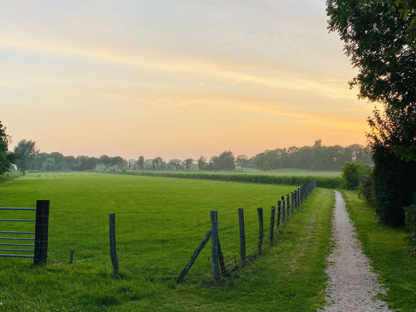 Het Groen Ommetje Zuidwolde