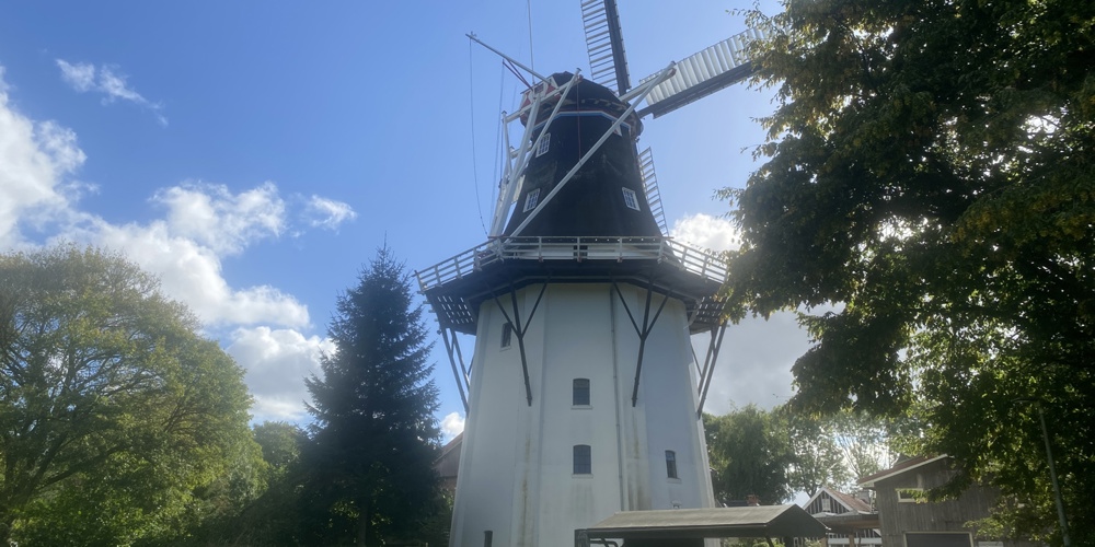 Korenmolen Wilhelmina Groningen
