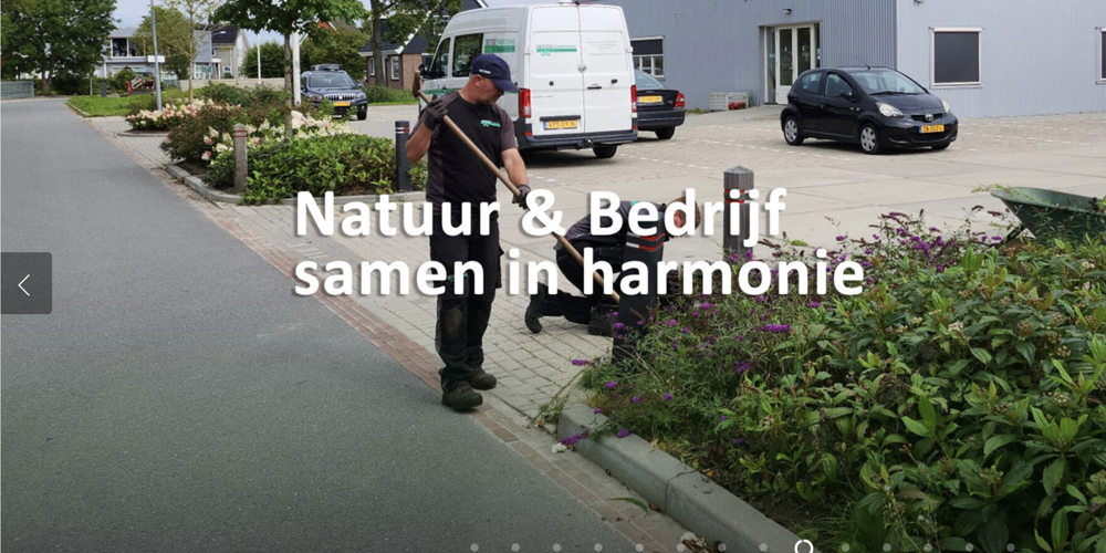 Groenvoorziening Van Der Werf Bedum