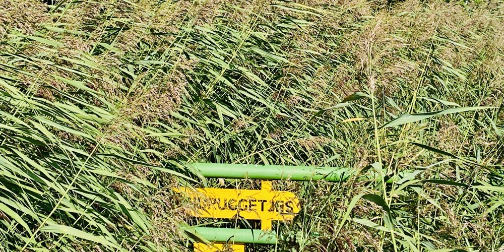 Kruispunt De Zeven Bruggetjes