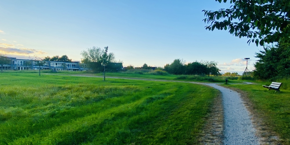 Parkje Tegenover De Horst