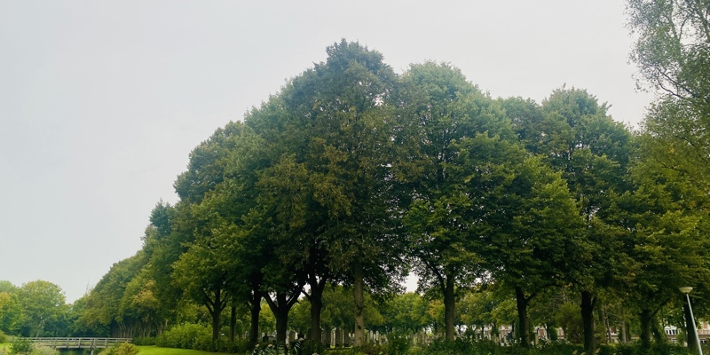 Begraafplaats Bedum