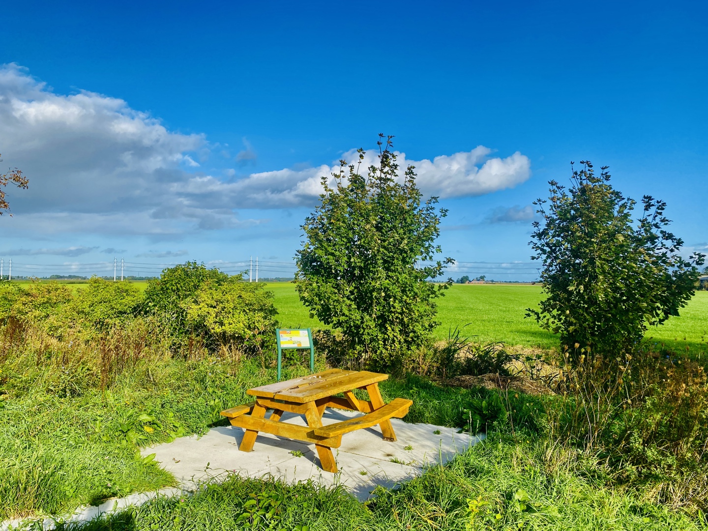 Picknicktafel Ter Laan Zon