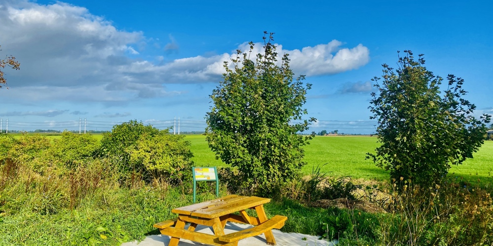 Picknicktafel Ter Laan Zon